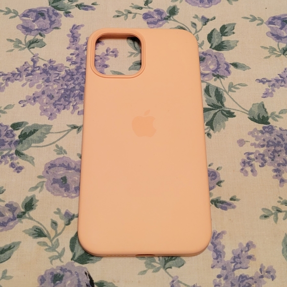iPhone 12 Pro Max APPLE Case